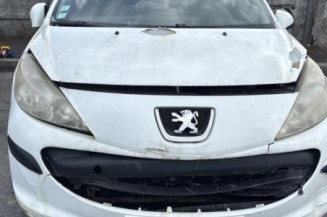 Custode avant gauche (porte) PEUGEOT 207