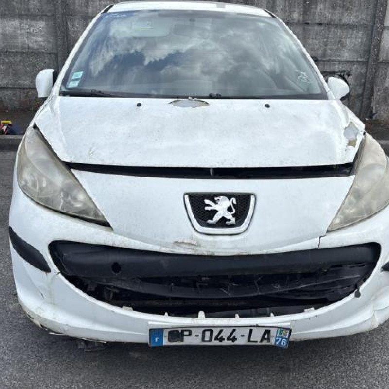 Custode avant gauche (porte) PEUGEOT 207 Photo n°12