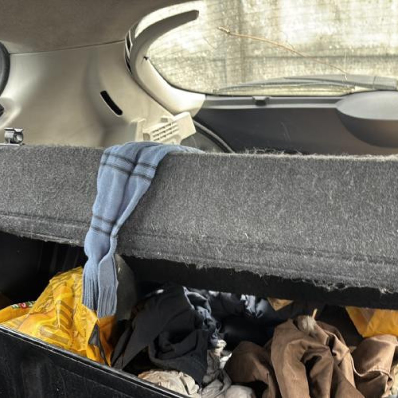 Custode avant gauche (porte) PEUGEOT 207 Photo n°16