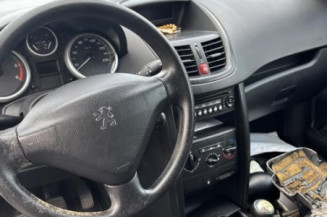 Custode avant gauche (porte) PEUGEOT 207