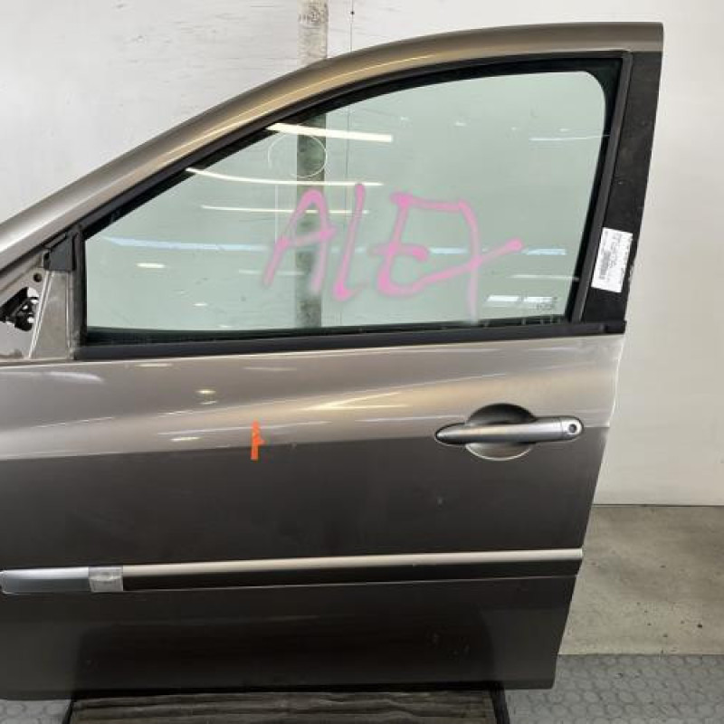 Porte avant gauche RENAULT CLIO 3 Photo n°1