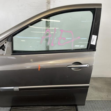 Porte avant gauche RENAULT CLIO 3 Photo n°1