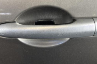Porte avant gauche RENAULT CLIO 3
