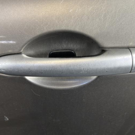 Porte avant gauche RENAULT CLIO 3