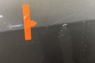Porte avant gauche RENAULT CLIO 3