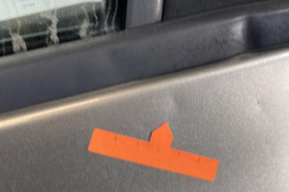 Porte avant gauche RENAULT CLIO 3