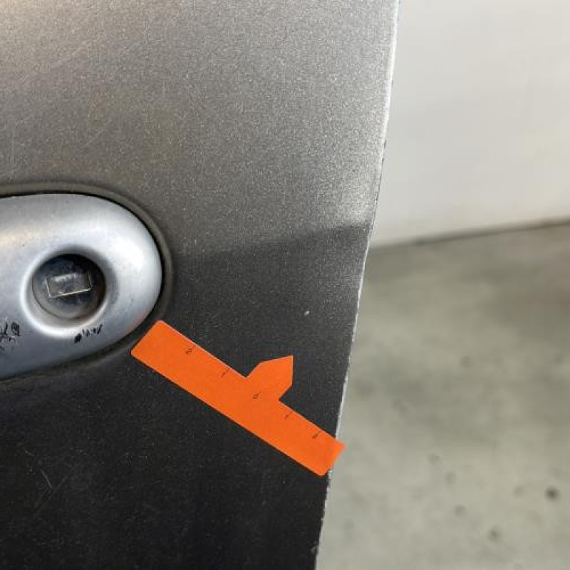 Porte avant gauche RENAULT CLIO 3 Photo n°5