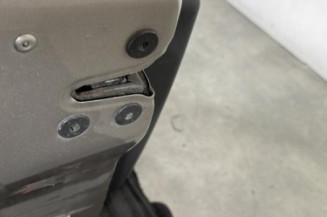 Porte avant gauche RENAULT CLIO 3