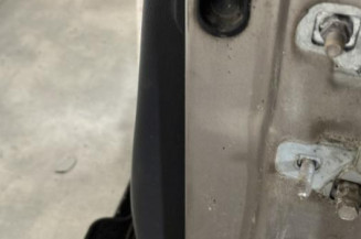 Porte avant gauche RENAULT CLIO 3