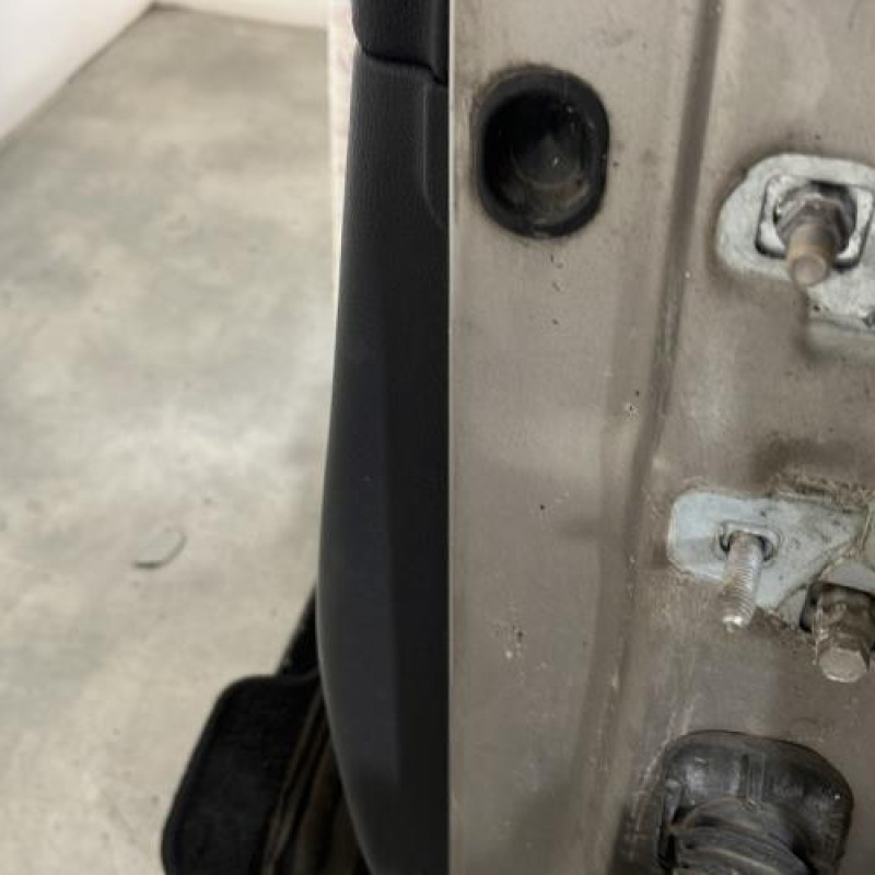 Porte avant gauche RENAULT CLIO 3 Photo n°7
