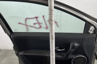 Porte avant gauche RENAULT CLIO 3