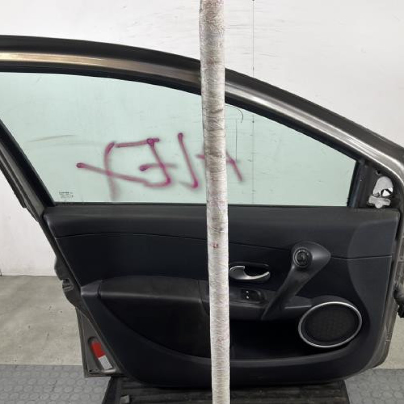 Porte avant gauche RENAULT CLIO 3 Photo n°9