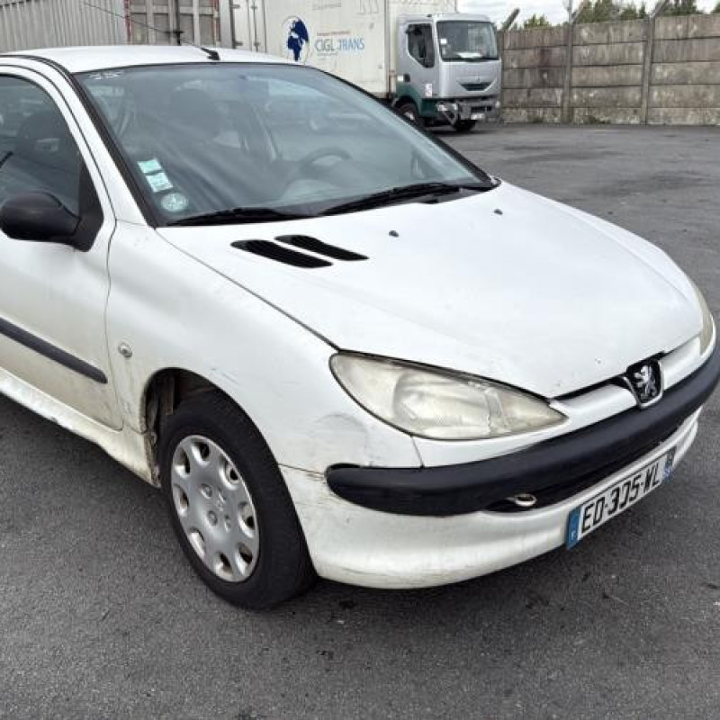 Porte avant droit PEUGEOT 206 Photo n°8