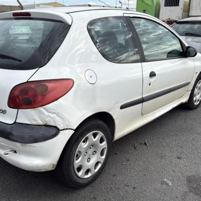Porte avant droit PEUGEOT 206 Photo n°9