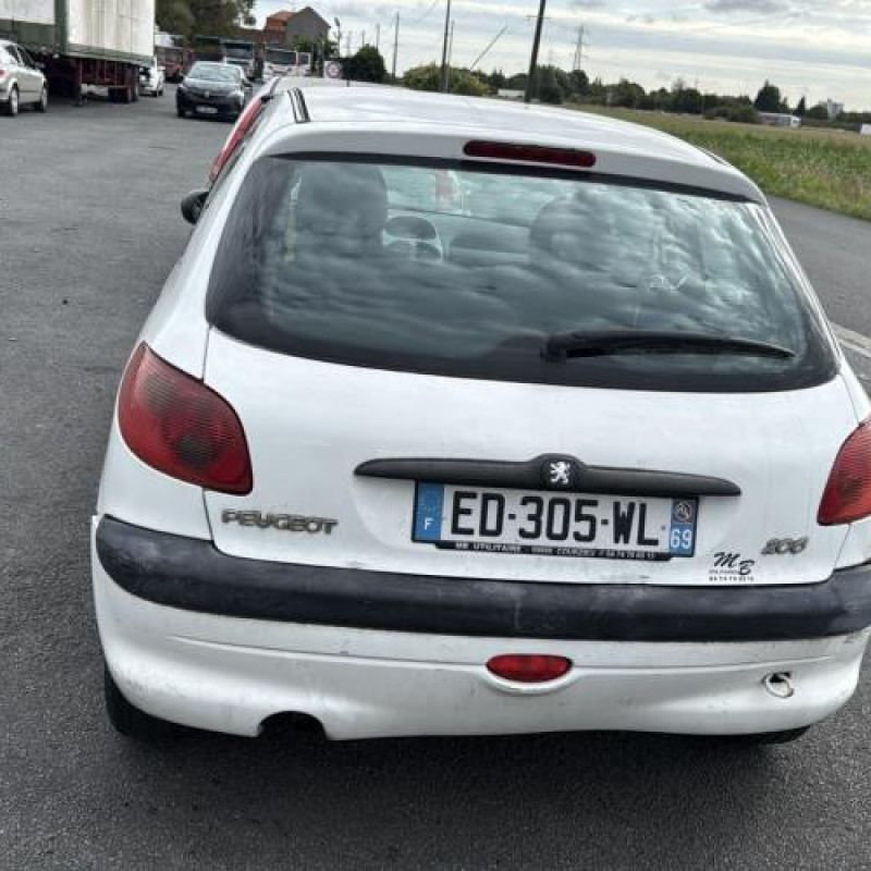 Porte avant droit PEUGEOT 206 Photo n°11