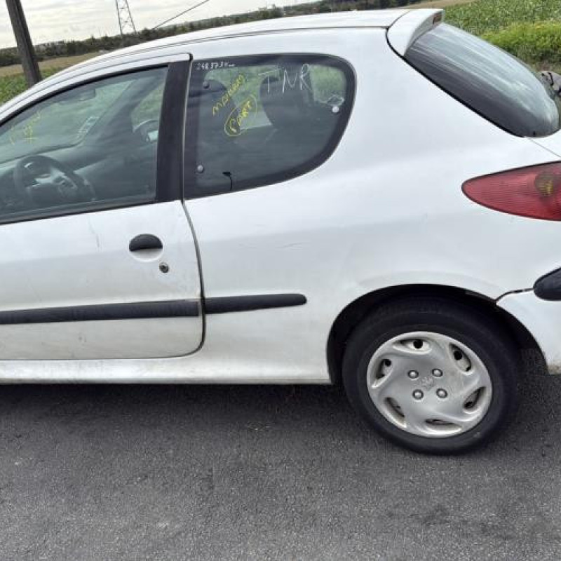 Porte avant droit PEUGEOT 206 Photo n°12