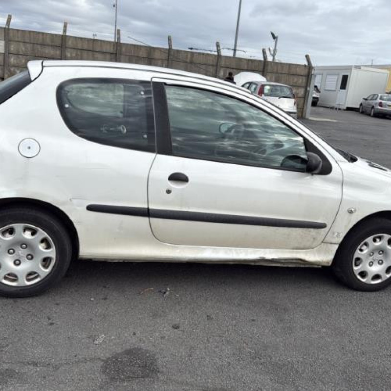 Porte avant droit PEUGEOT 206 Photo n°13