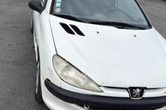 Porte avant droit PEUGEOT 206