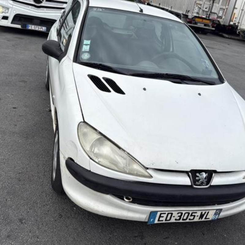 Porte avant droit PEUGEOT 206 Photo n°14