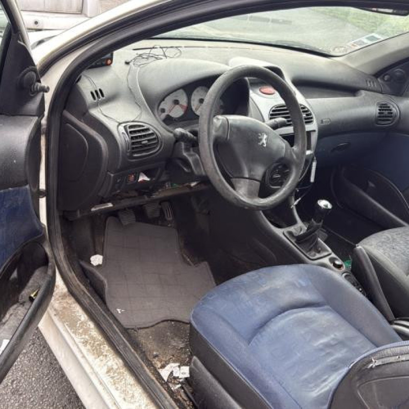 Porte avant droit PEUGEOT 206 Photo n°16