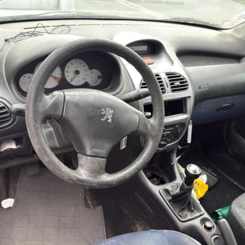 Porte avant droit PEUGEOT 206 Photo n°18