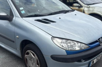 Arret de porte avant gauche PEUGEOT 206
