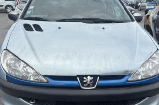 Arret de porte avant gauche PEUGEOT 206