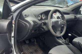 Arret de porte avant gauche PEUGEOT 206