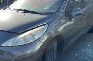 Porte arriere droit PEUGEOT 207