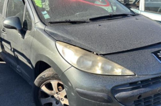 Porte arriere droit PEUGEOT 207