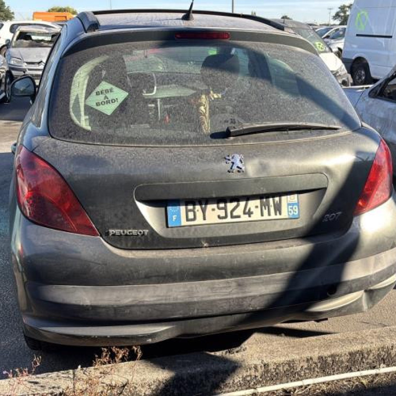 Porte arriere droit PEUGEOT 207 Photo n°13