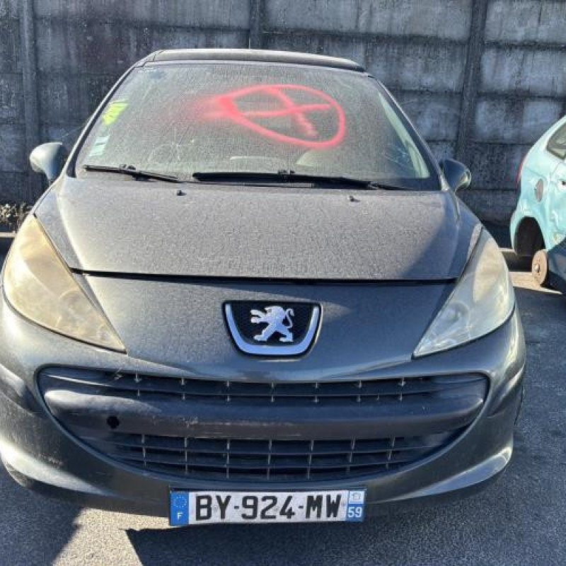 Porte arriere droit PEUGEOT 207 Photo n°16