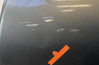 Porte arriere gauche PEUGEOT 207