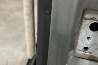 Porte arriere gauche PEUGEOT 207