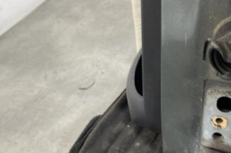 Porte arriere gauche PEUGEOT 207