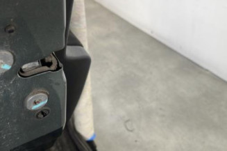 Porte arriere gauche PEUGEOT 207