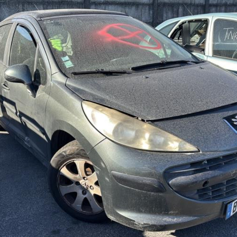 Porte arriere gauche PEUGEOT 207 Photo n°9