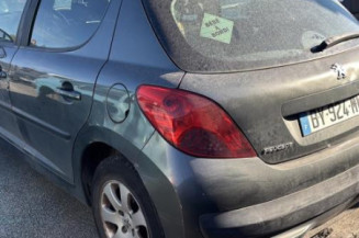 Porte arriere gauche PEUGEOT 207