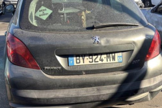 Porte arriere gauche PEUGEOT 207