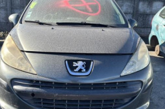 Porte arriere gauche PEUGEOT 207
