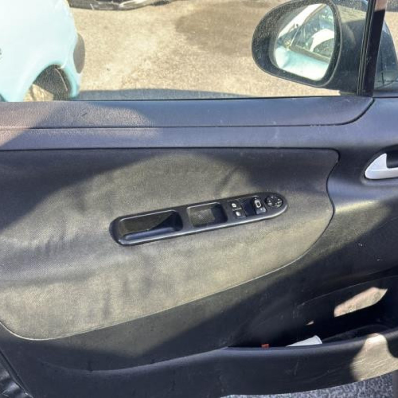 Porte arriere gauche PEUGEOT 207 Photo n°16