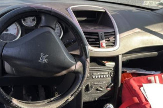 Porte arriere gauche PEUGEOT 207