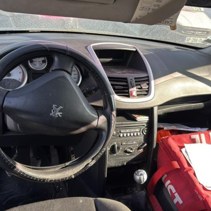 Porte arriere gauche PEUGEOT 207 Photo n°19