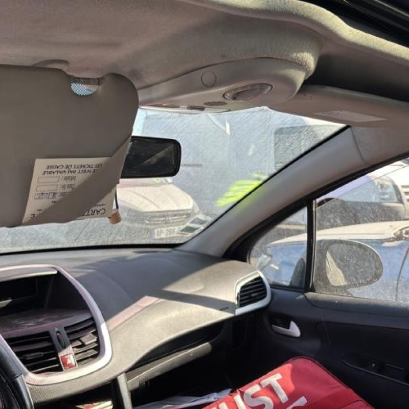 Porte arriere gauche PEUGEOT 207 Photo n°20