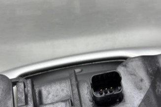 Poignee porte arriere droit RENAULT SCENIC 3