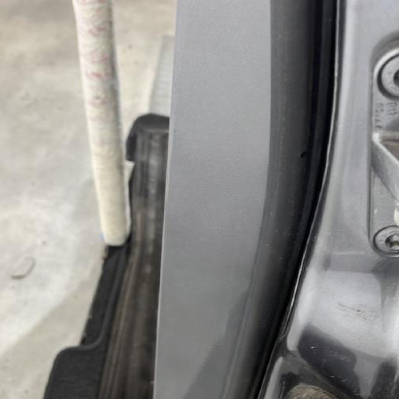 Porte arriere gauche MERCEDES CLASSE A 169 Photo n°2