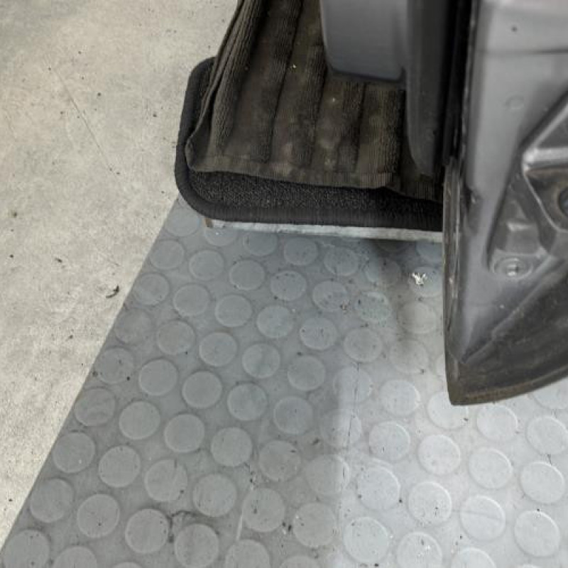 Porte avant gauche MERCEDES CLASSE A 169 Photo n°6