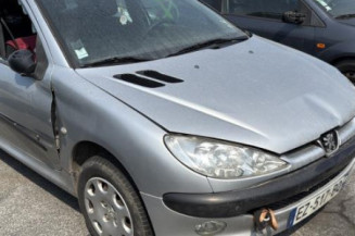 Malle/Hayon arriere PEUGEOT 206