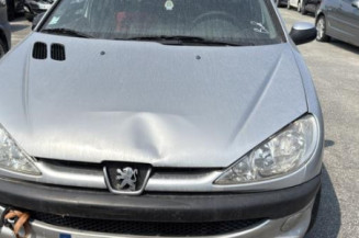 Malle/Hayon arriere PEUGEOT 206