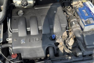 Malle/Hayon arriere PEUGEOT 206